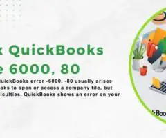 How to Fix QuickBooks Error Code 6000, 80