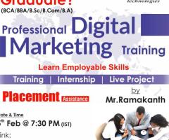 Best Digital Marketing Online Training - Naresh IT