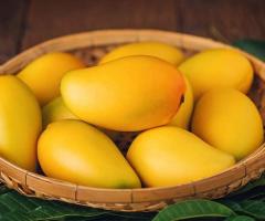 ALPHONSO MANGOES: WHERE TO FIND, HEALTH BENEFITS, IMPORTANT FACTS
