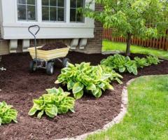 Professional Services Are Best For Home And Garden Maintenance