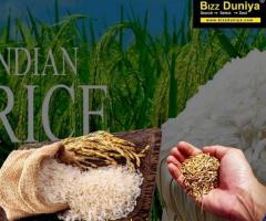 Best Quality Indian Non Basmati Rice Exporters