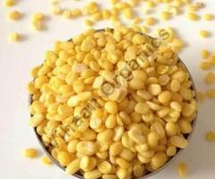 Yellow Moong Dal Supplier