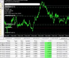 Get Rich By Trading With Our Forex Robot