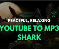 YouTube to MP3 Shark