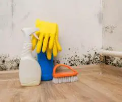 The Best Pre-sale Cleaning for You in Melbourne
