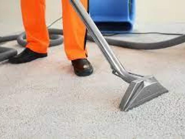 High-Quality Carpet Cleaning in Wollongong by Accredited Professionals