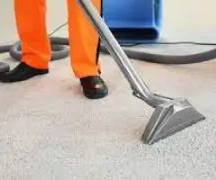 High-Quality Carpet Cleaning in Wollongong by Accredited Professionals