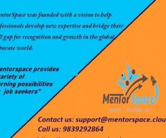 MentorSpace - Let's Open the Doors of Opportunity