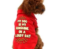 Phrase Dog T-Shirt