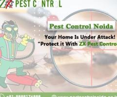 Effective Rodent Control and Pest Management Solutions in Noida: Keeping Your Home Safe and Healthy